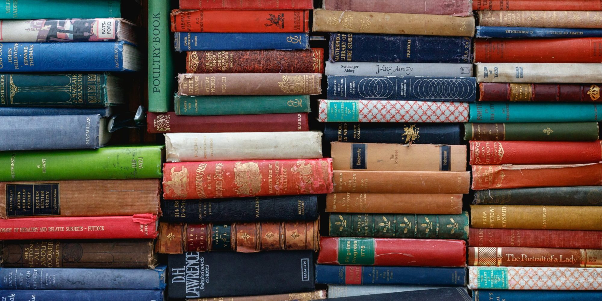 ed-robertson-eeSdJfLfx1A-unsplash